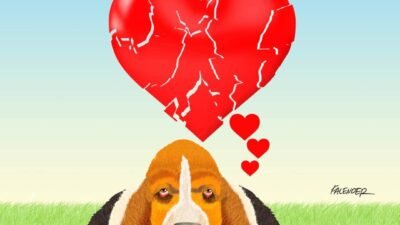 Öznur Kalender: Köpeklere infaz yasasını meclise getirenler.. Biraz olsun vicdanınız