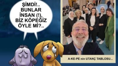 Öznur Kalender: Eyy vicdan neredesin?…