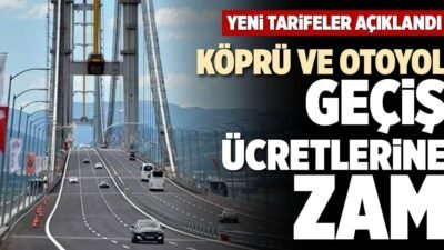 Hazır vatandaş mecliste çıkan kavgaya ve diğer yapay gündemlere kilitlenmişken