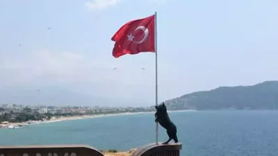 Milliyetçi Hareket Partisi (MHP) üyeleri, kent girişindeki bayrak tutan bozkurt