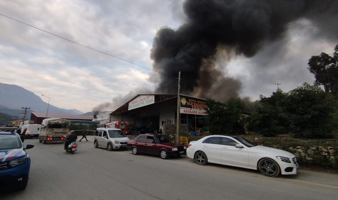 Alanya’da mobilya deposunda çıkan