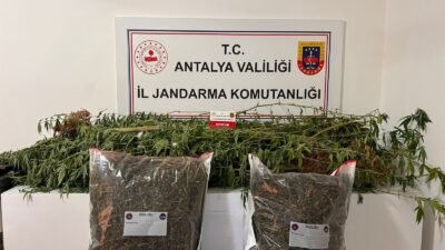 Alanya’da 7 Ekim – 12 Aralık tarihleri arasında gerçekleştirilen narkotik