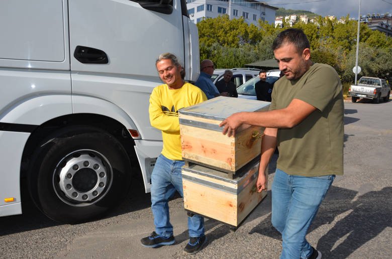 Büyükşehir Belediyesi Alanyalı bal üreticilerine arı kovanı hibe etti