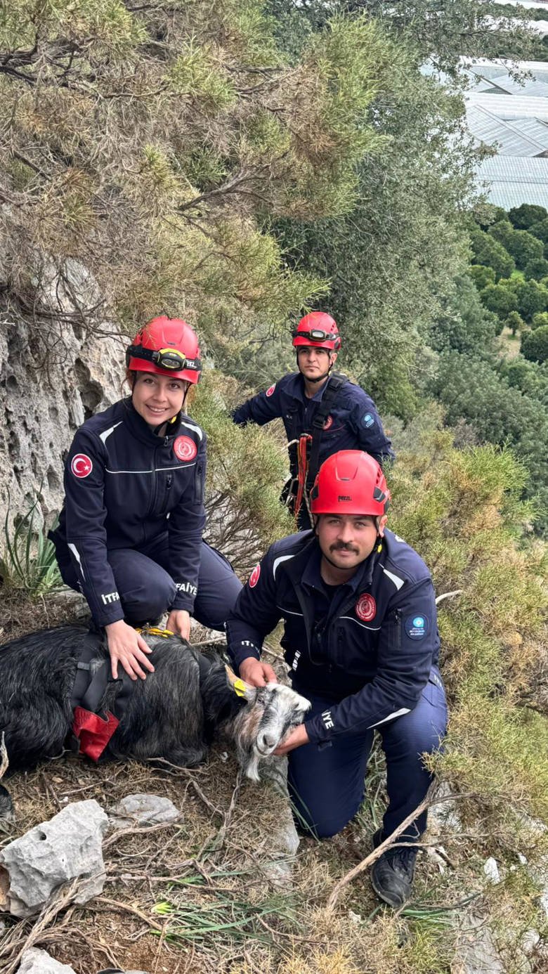 İtfaiye ekiplerinden keçi kurtarma operasyonu