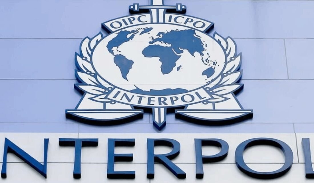 Interpol tarafından "tasarlayarak kasten öldürme" suçundan kırmızı bültenle aranan yabancı