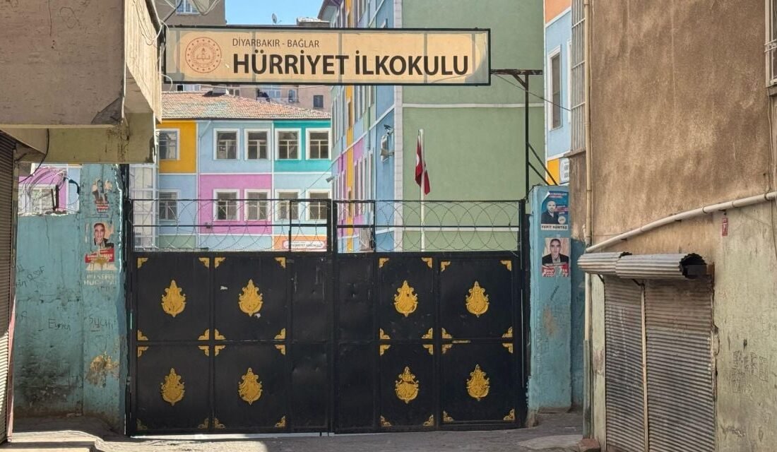 Diyarbakır'ın Bağlar ilçesinde akli dengesinin bozuk olduğu iddia edilen M.E.,