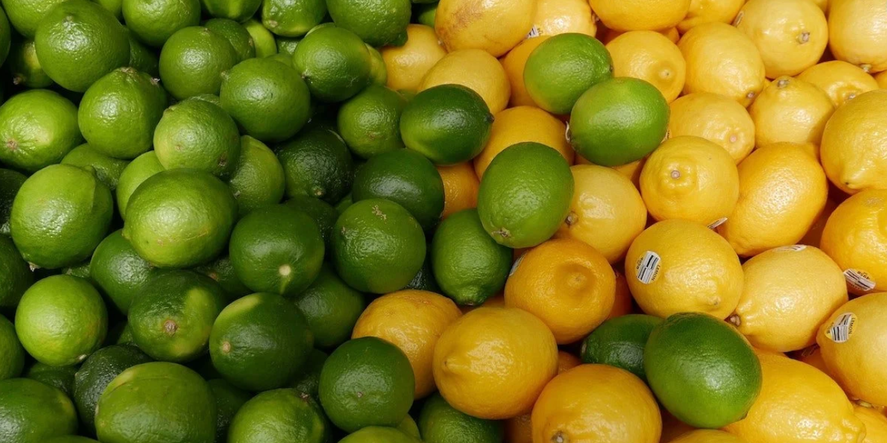 Ticaret Bakanlığı tarafından limon ürününde yurt içi arz ve talep