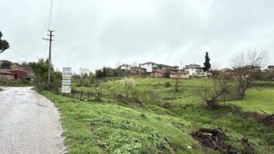 Çanakkale'nin Çan ilçesi Kalburcu köyündeki büyükbaş hayvancılık işletmesinde hayvanlarda şap