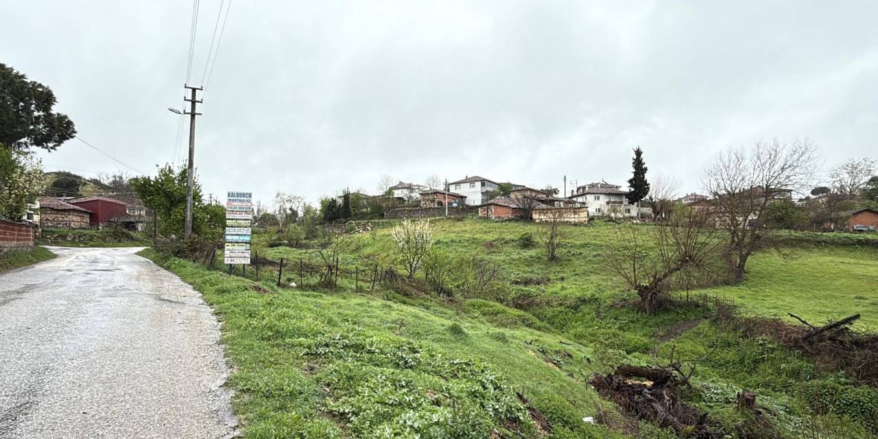 Çanakkale'nin Çan ilçesi Kalburcu köyündeki büyükbaş hayvancılık işletmesinde hayvanlarda şap