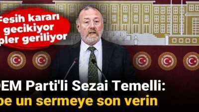 DEM Parti Grup Başkanvekili Sezai Temelli, Abdullah Öcalan'ın çağrısının ardından