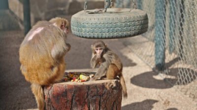 Antalya Büyükşehir Belediyesi Şehirlerarası Otobüs Terminalinde 26 Aralık tarihinde bir