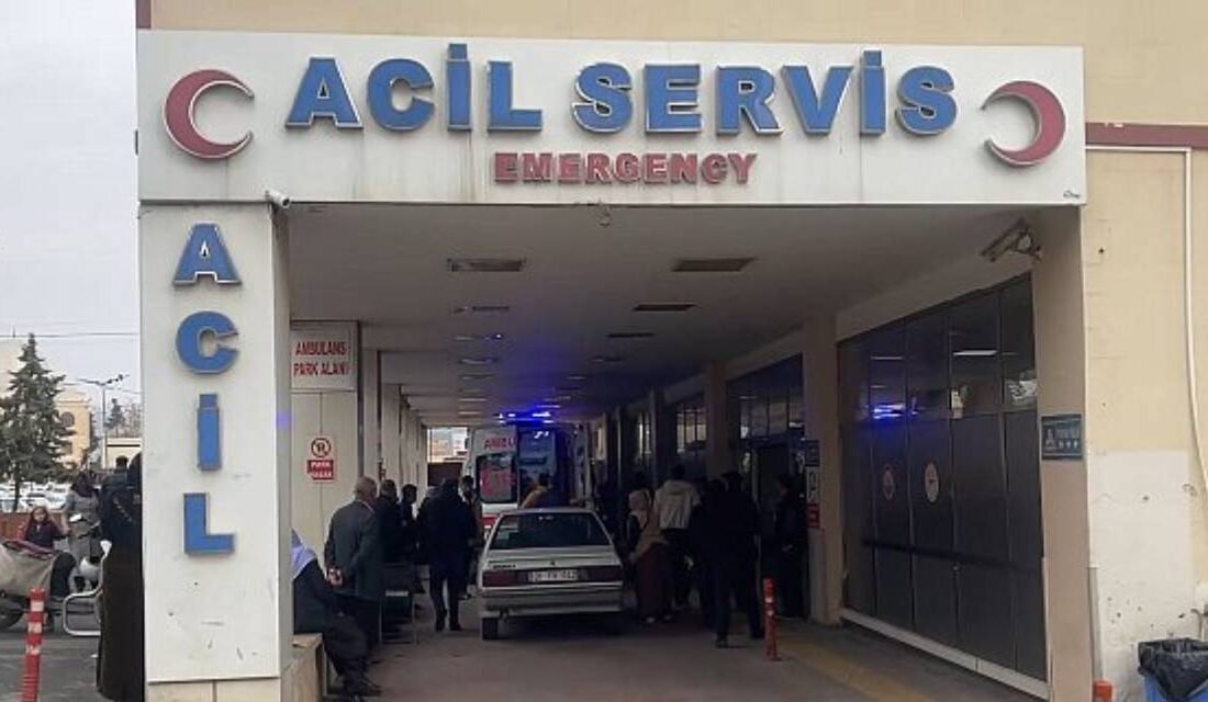 Berfin Güneşan isimli kız çocuğu ineğin tekme atması sonucu öldü.