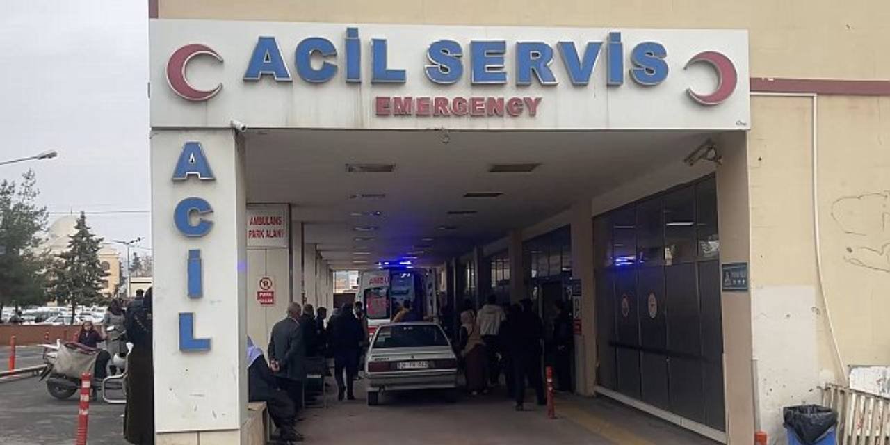 Berfin Güneşan isimli kız çocuğu ineğin tekme atması sonucu öldü.