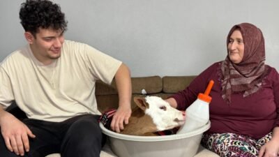 Ordu’nun Ünye ilçesi Yüceler Mahallesi’nde çiftçilik yapan 55 yaşındaki Fatma