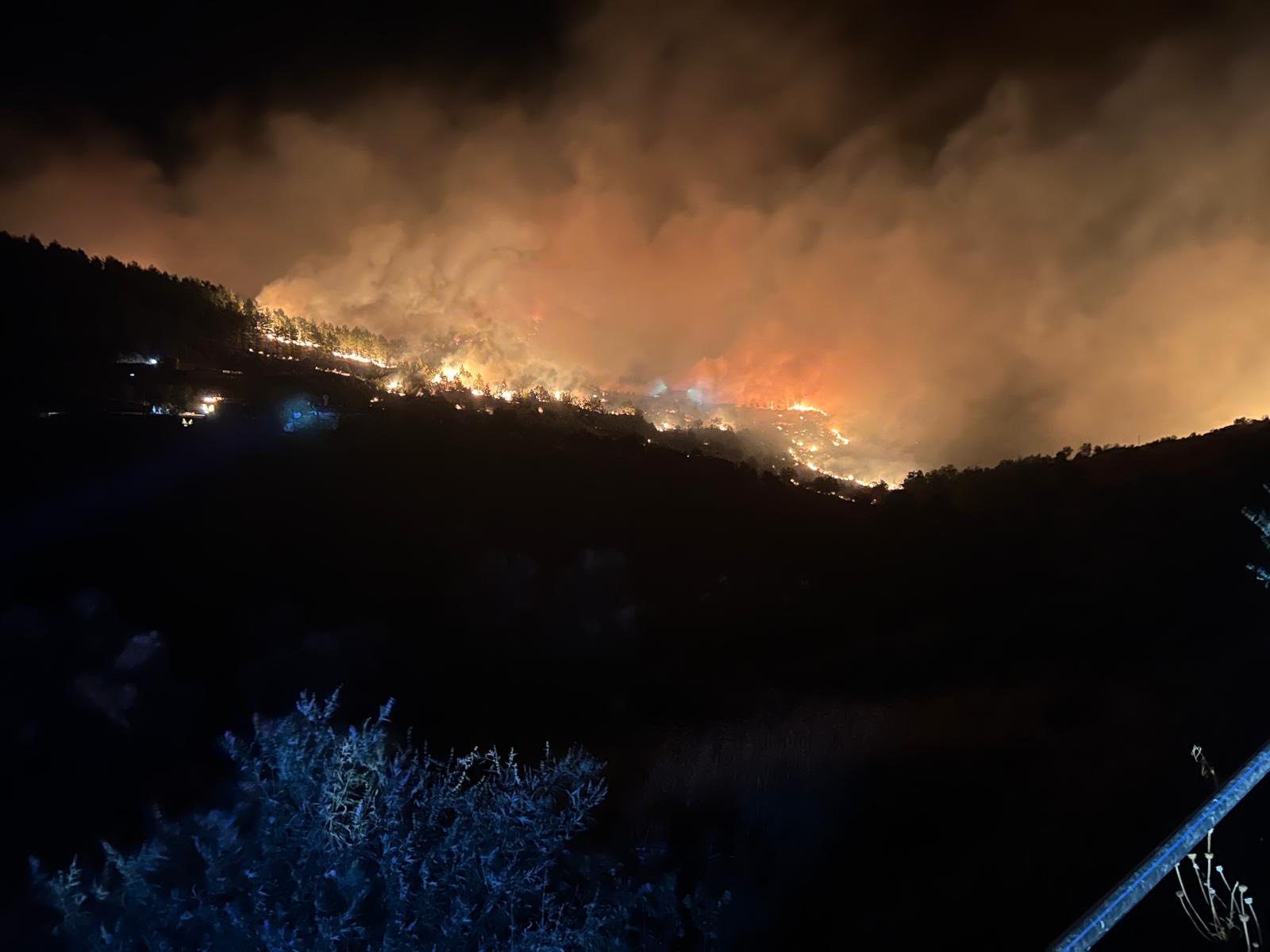 Alanya belediye Başkanı Osman Tarık Özçelik sosyal medya hesabından Alanya