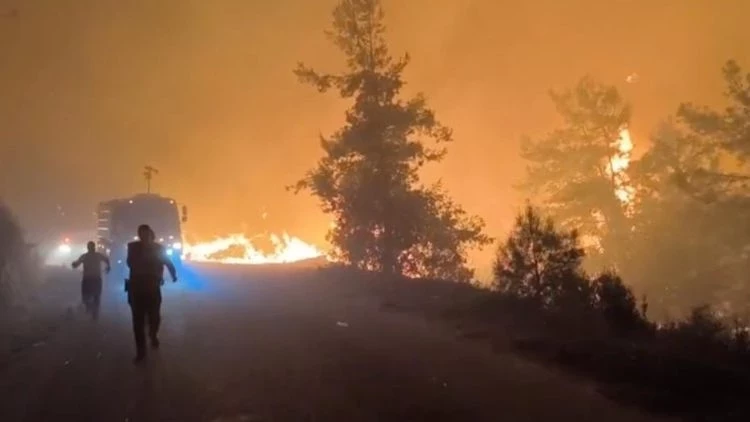 Alanya ilçesinde yerleşim yerlerine yakın bir noktada orman ayngını çıktı.