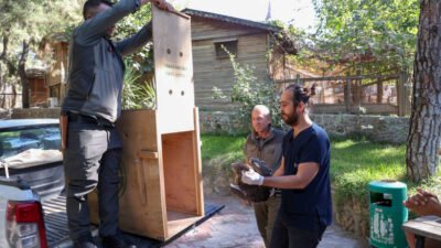 Doğal Yaşam Parkı’nda tedavi edilen Yılan Kartalı doğaya geri döndü Doğal Yaşam Parkı’nda çeşitli nedenlerle yaralanan ve hasta olan vahşi