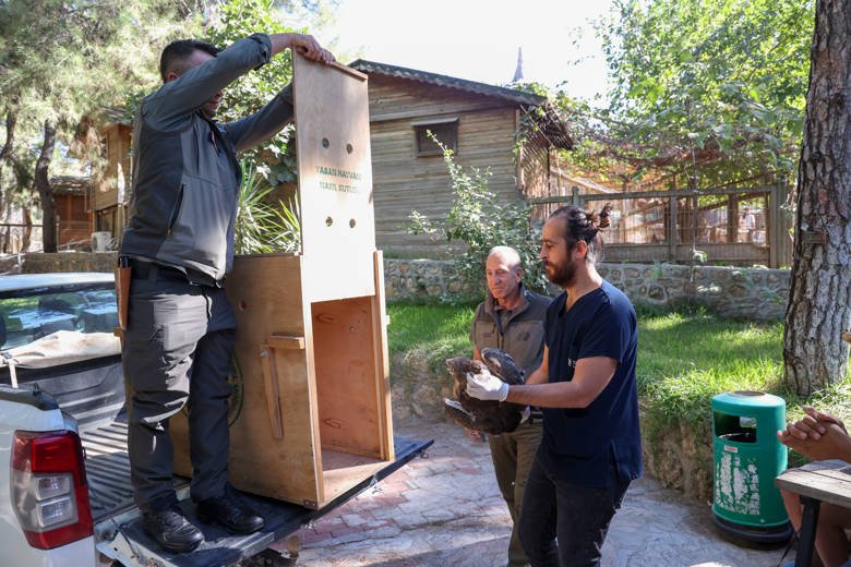 Doğal Yaşam Parkı’nda çeşitli nedenlerle yaralanan ve hasta olan vahşi