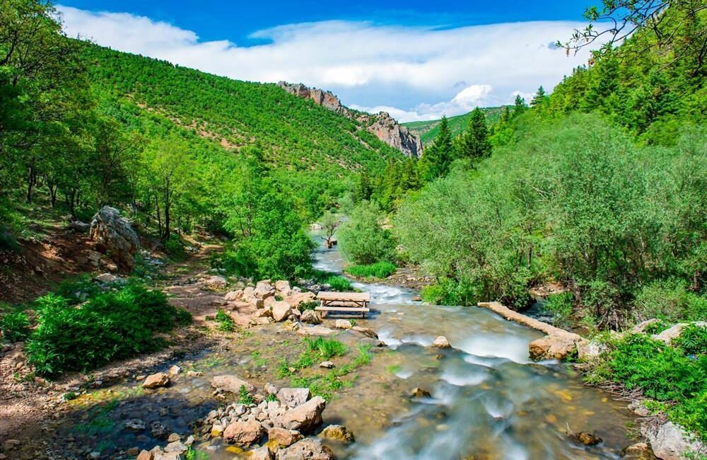 Selçuklu Sultanı I. Alaeddin Keykubad’ın iki başkentini birleştiren kadim kervan