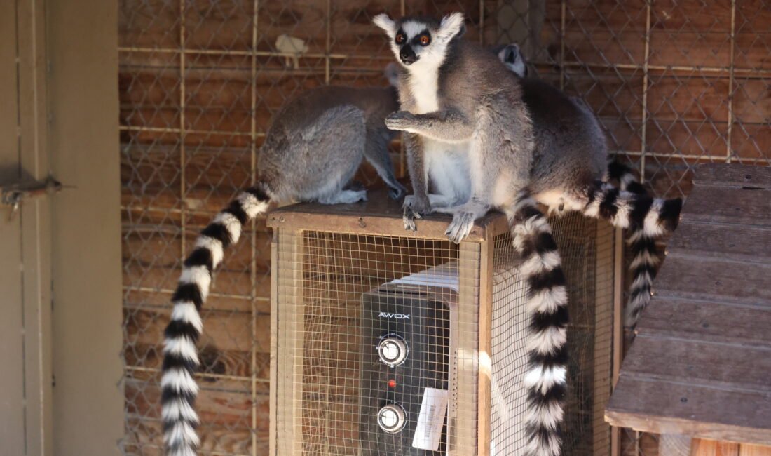 Antalya’da Soğuk günlerde sıcak önlemler Antalya’da son günlerde etkili olan