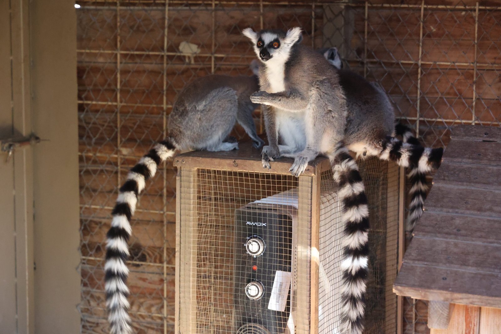 Antalya’da Soğuk günlerde sıcak önlemler Antalya’da son günlerde etkili olan