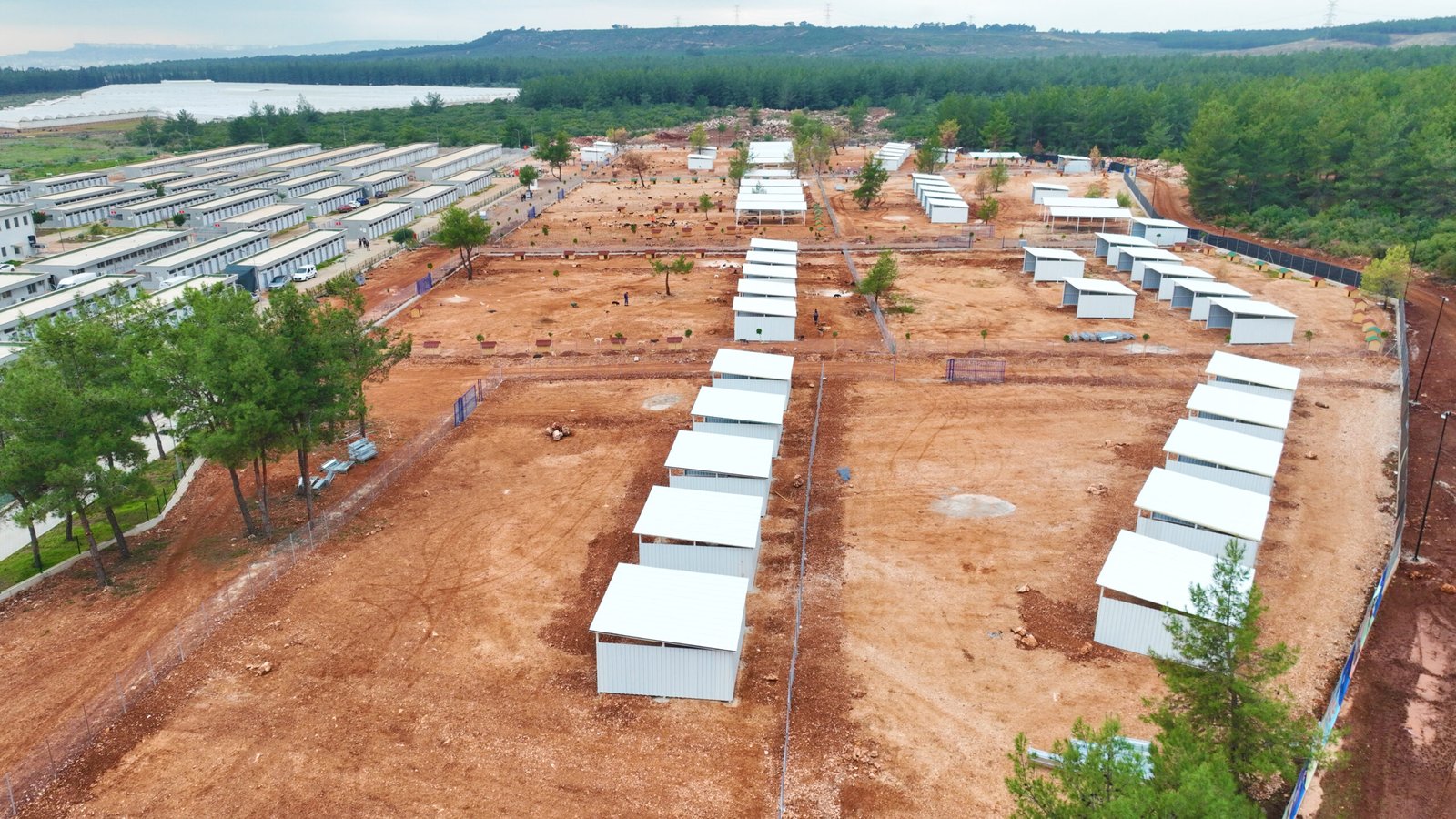 Antalya’da yaşayan sahipsiz can dostları için Türkiye’nin en modern tesislerinden