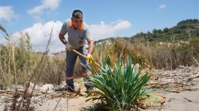 Alanya Belediyesi ile Alanya Doğa Koruma ve Milli Parklar Şefliği