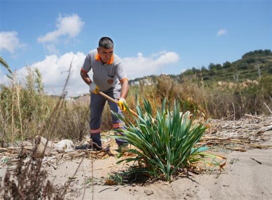 Alanya Belediyesi ile Alanya Doğa Koruma ve Milli Parklar Şefliği