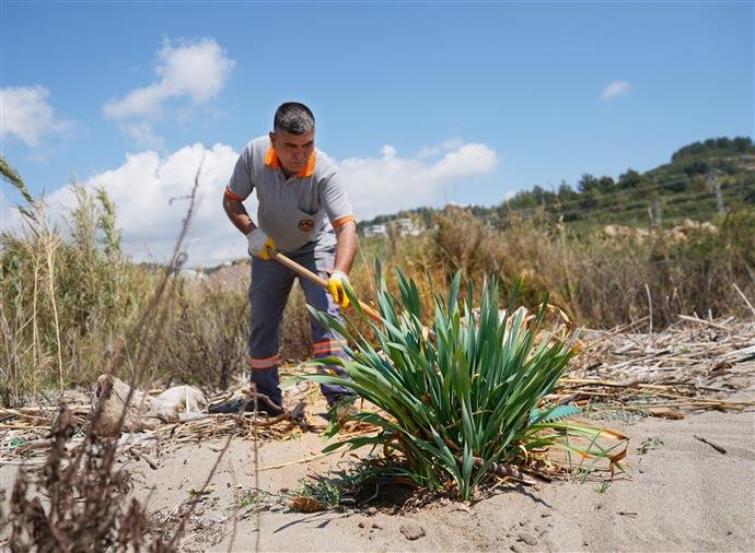 Alanya Belediyesi ile Alanya Doğa Koruma ve Milli Parklar Şefliği