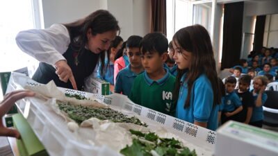 Antalya Büyükşehir Belediyesi Tarımsal Hizmetler Dairesi Başkanlığı ekipleri, Döşemealtı’ndaki Osman