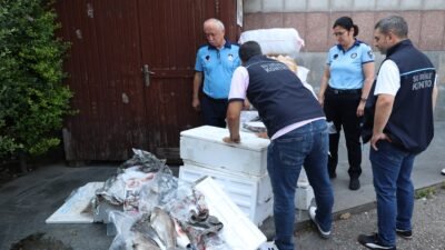Avlanma dönemi dışında yakalanarak uygunsuz koşullarda taşınan balıklara el konuldu