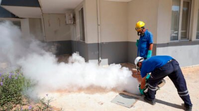 Sinek ve haşerelere karşı Büyükşehir sahada Antalya Büyükşehir Belediyesi sinek,
